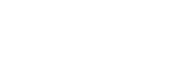 Pfeffer Logo